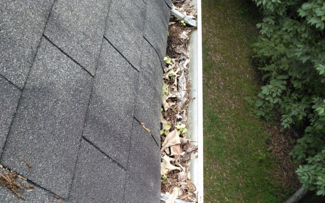 cleaning gutters