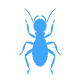 home inspection, insect icon