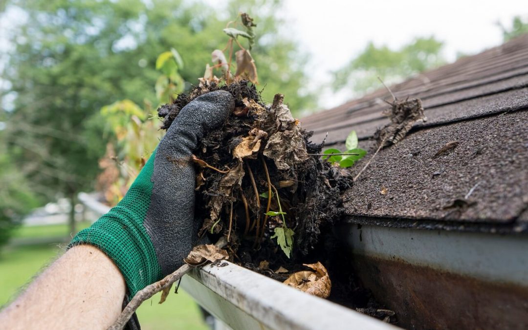 roof maintenance