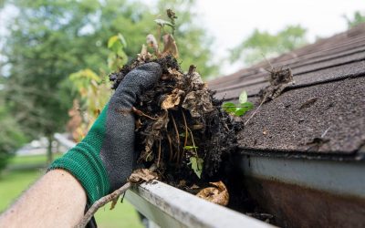 3 Steps for Yearly Roof Maintenance